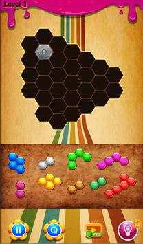 Hexa PuZZle BloCk KinG screenshot 5