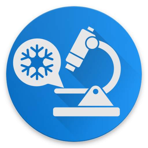 Snowflakes Under Microscope 2019.2