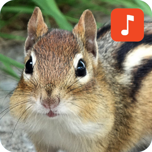 Chipmunk Calls icon