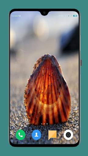 HD Seashell Wallpaper screenshot 12