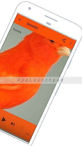 Canary screenshot 3