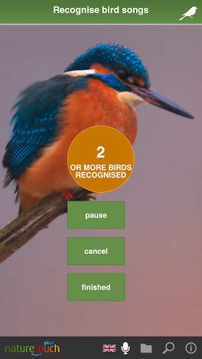 Identify live bird songs, naturetouch screenshot 3