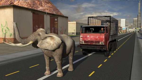Elephant Racing Simulator 2016 screenshot 7
