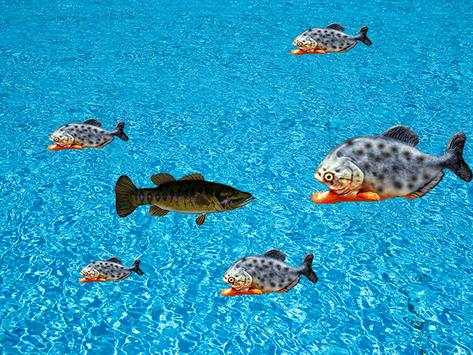 Fishing Piranha Hook screenshot 2