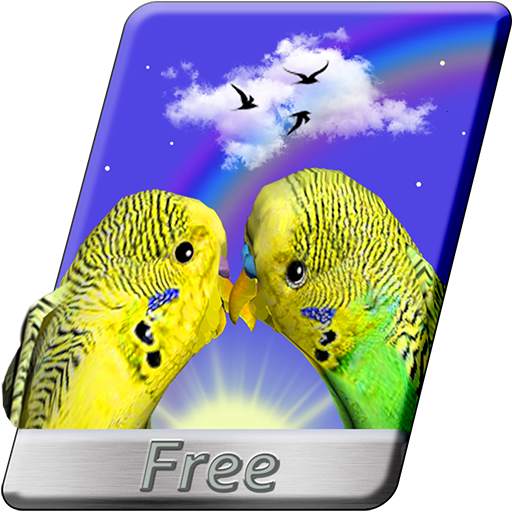 Parrots 3D Live Wallpaper Love Birds FREE 1.4.9