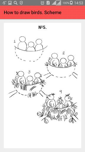 How to draw birds. Scheme screenshot 6