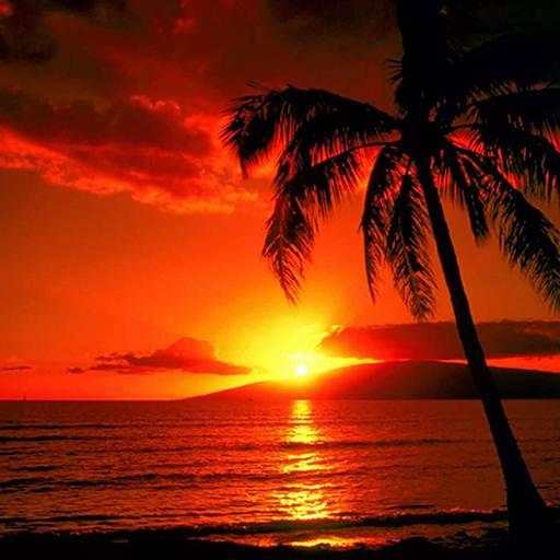 Sunsets Wallpapers 3.1
