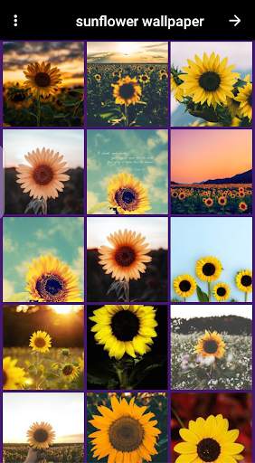 lavender wallpaper screenshot 5