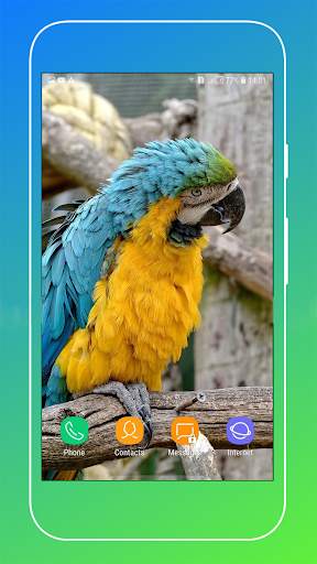 Bird Wallpaper screenshot 9