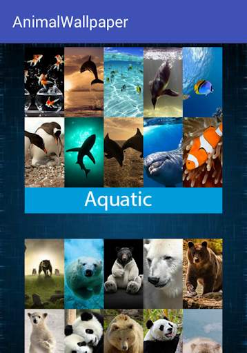 Animal Wallpaper screenshot 3