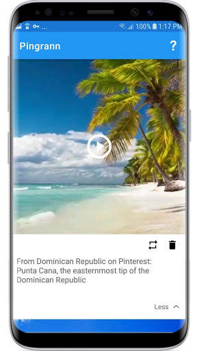 Pingrann - Downloader & Repost for Pinterest screenshot 2