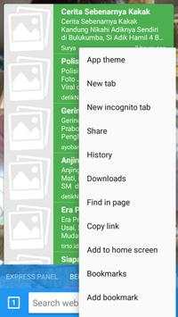 UCC Browser screenshot 2