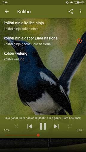 Masteran Semua Jenis Burung Offline screenshot 8