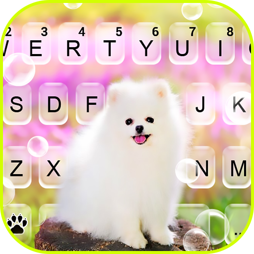 Hình nền bàn phím Cute White Dog icon