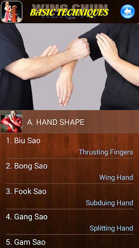 Wing Chun Kung Fu screenshot 2