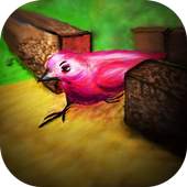 Slowly Bird 1.0