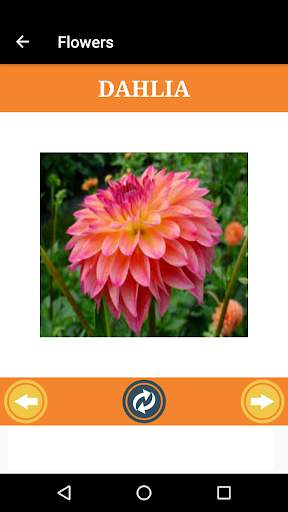 Flashcard of kids to know the world screenshot 4