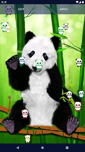 Panda Kawaii Live Wallpaper screenshot 6