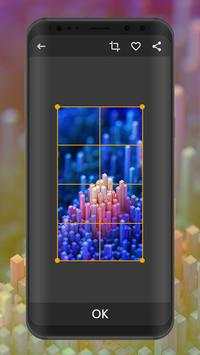 4D Wallpapers screenshot 2