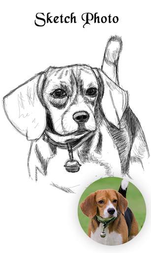 Sketch Photo screenshot 4