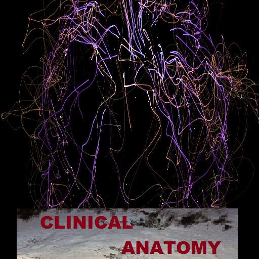 Clinical Anatomy free 1.0.38