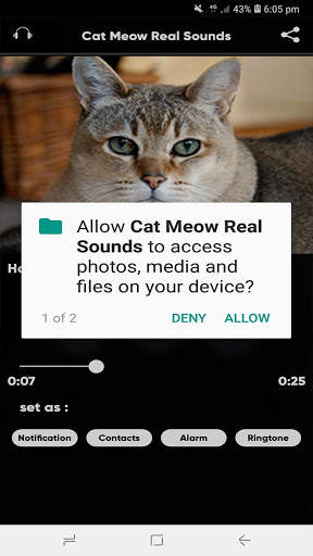 Cat Meow Real Sounds screenshot 3