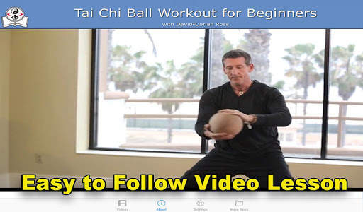 Tai Chi Ball Beginner screenshot 3