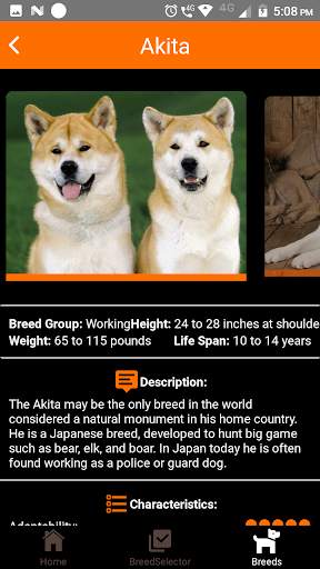 Dogipedia - Dog breed selector and list of breeds screenshot 2