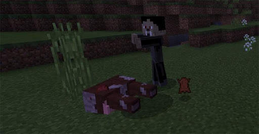 Vampire Mod for MCPE screenshot 3