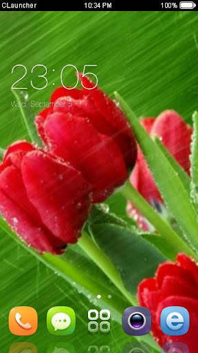 Best Rose Theme HD screenshot 1