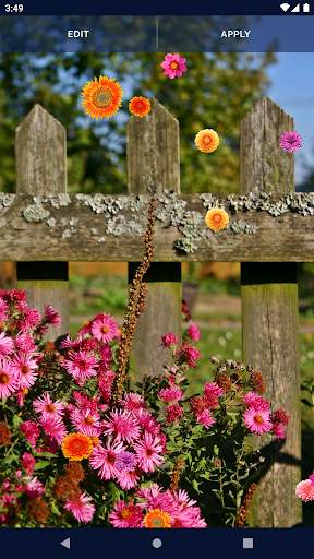 Autumn Flowers Live Wallpaper screenshot 7