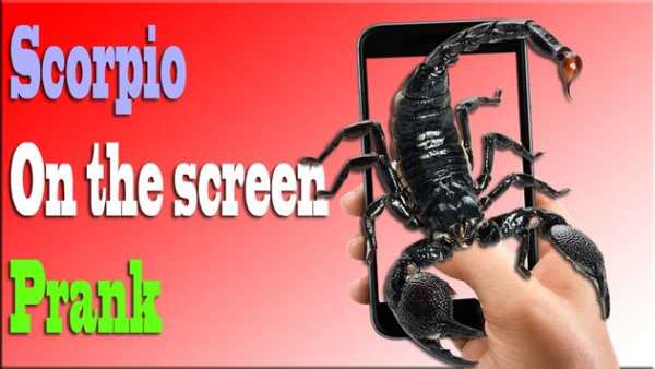 Scorpion On Hand Screen Photo screenshot 2