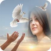 Birds Photo Frames 1.2