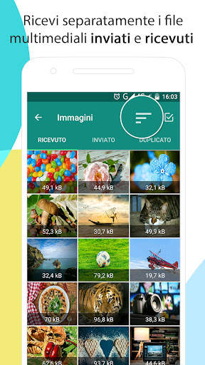 Cleaner for WhatsApp screenshot 2