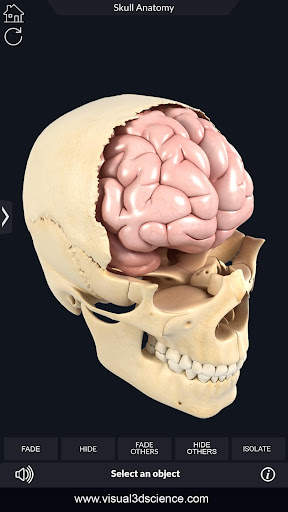 My Skull Anatomy screenshot 6