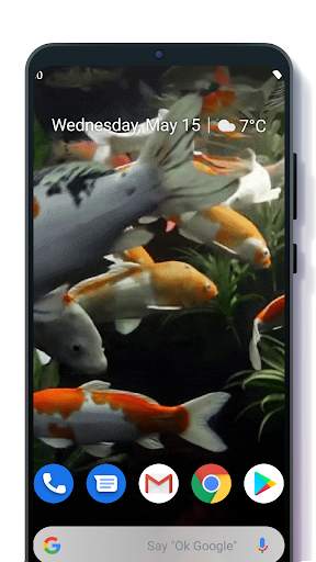 Koi Live Wallpaper screenshot 2