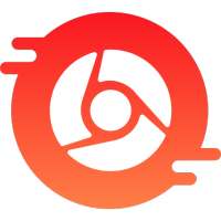 Private Browsing Web Browser icon