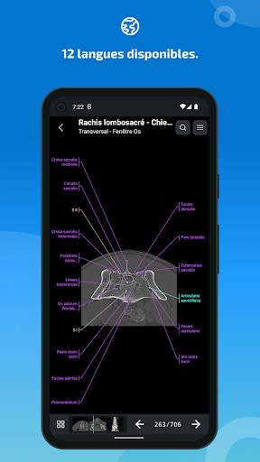 vet-Anatomy screenshot 7