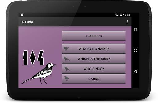 104 Birds Quiz screenshot 15