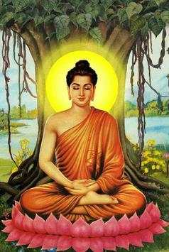 Buddha Wallpapers 4 تصوير الشاشة