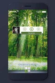 Galaxy Phone Lock screenshot 4