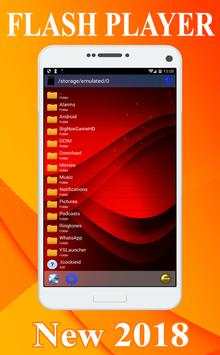 Flash Player screenshot 2