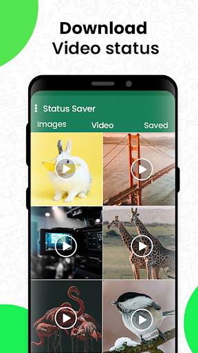 Status saver App: Whatsapp status downloader screenshot 2
