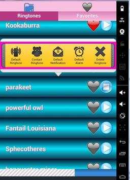 Birds Sounds Ringtones screenshot 3