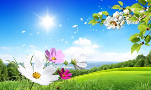 Nature Image Wallpapers 2 تصوير الشاشة