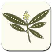 Nature's Own Herb Shop logo