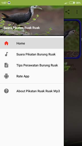 Pikatan Ruak Ruak Mp3 Terbaru Offline screenshot 1