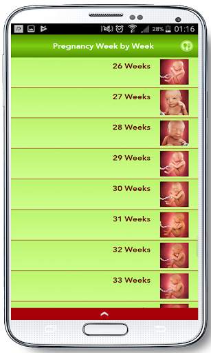 Pregnancy Week by Week 2019 screenshot 3
