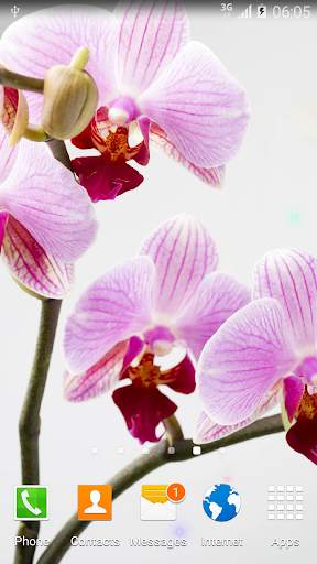 Orchids Live Wallpaper screenshot 5
