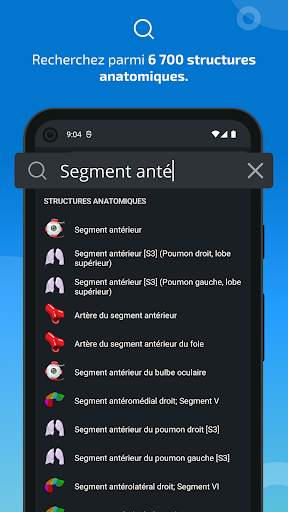 e-Anatomy screenshot 3